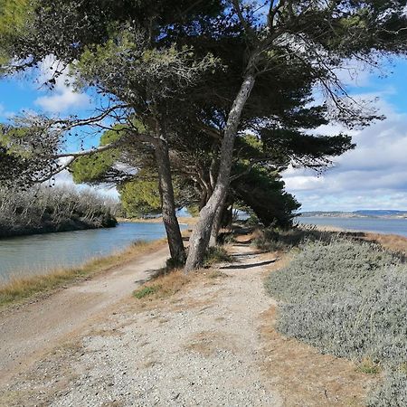 Entre Mer Et Roseaux - Piscine - Proche Centre Et Mer - Petfriendly Port-la-Nouvelle Buitenkant foto