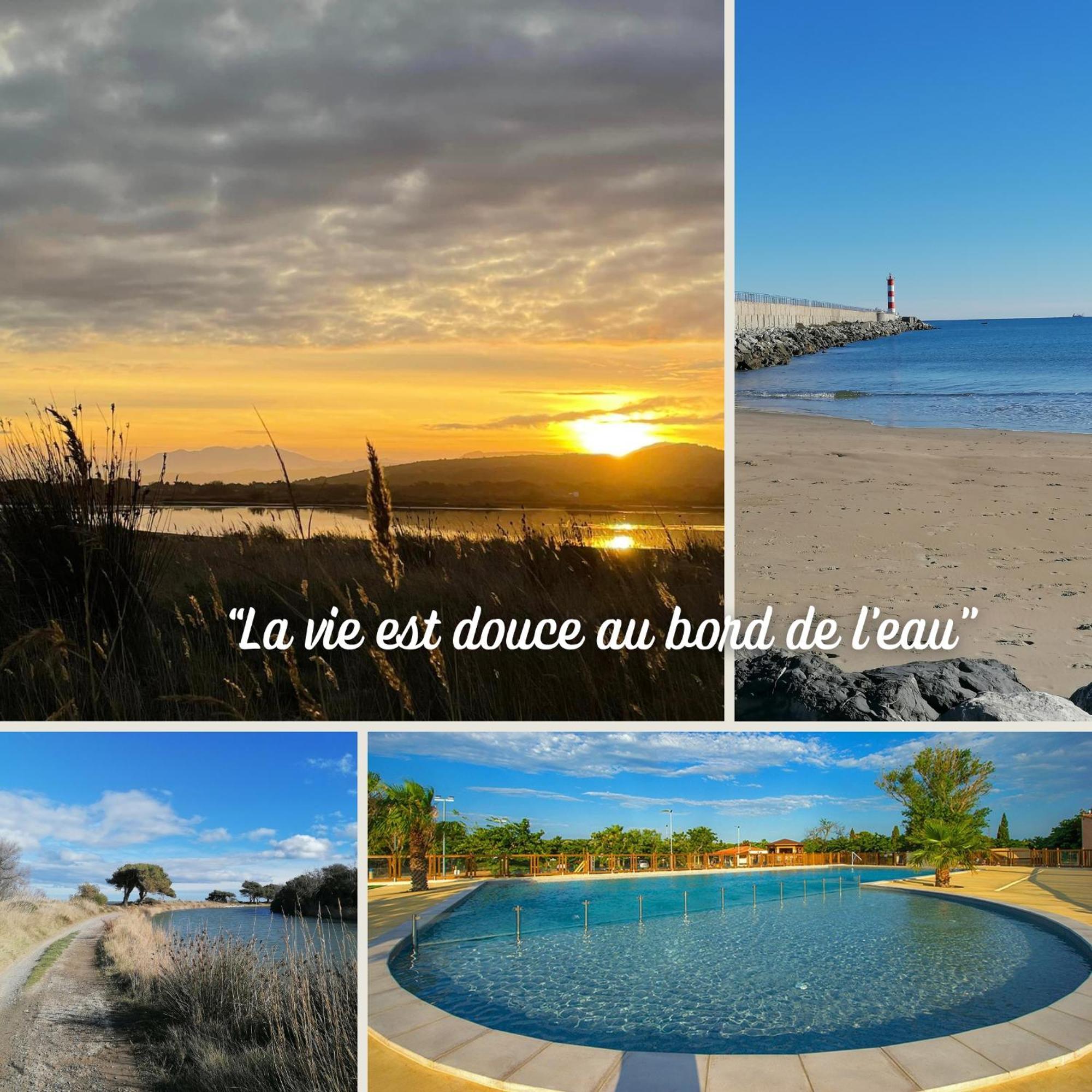 Entre Mer Et Roseaux - Piscine - Proche Centre Et Mer - Petfriendly Port-la-Nouvelle Kamer foto