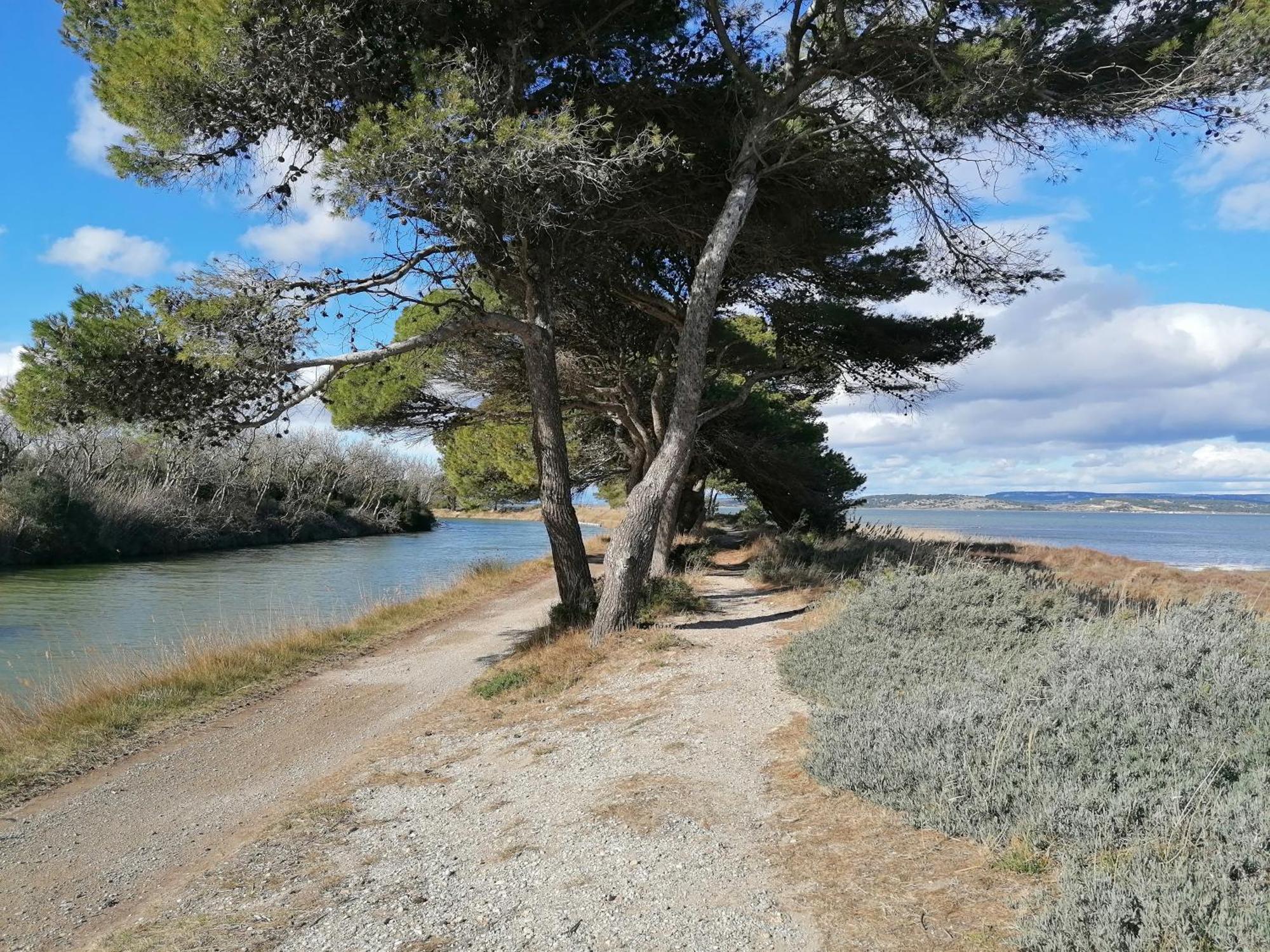 Entre Mer Et Roseaux - Piscine - Proche Centre Et Mer - Petfriendly Port-la-Nouvelle Buitenkant foto