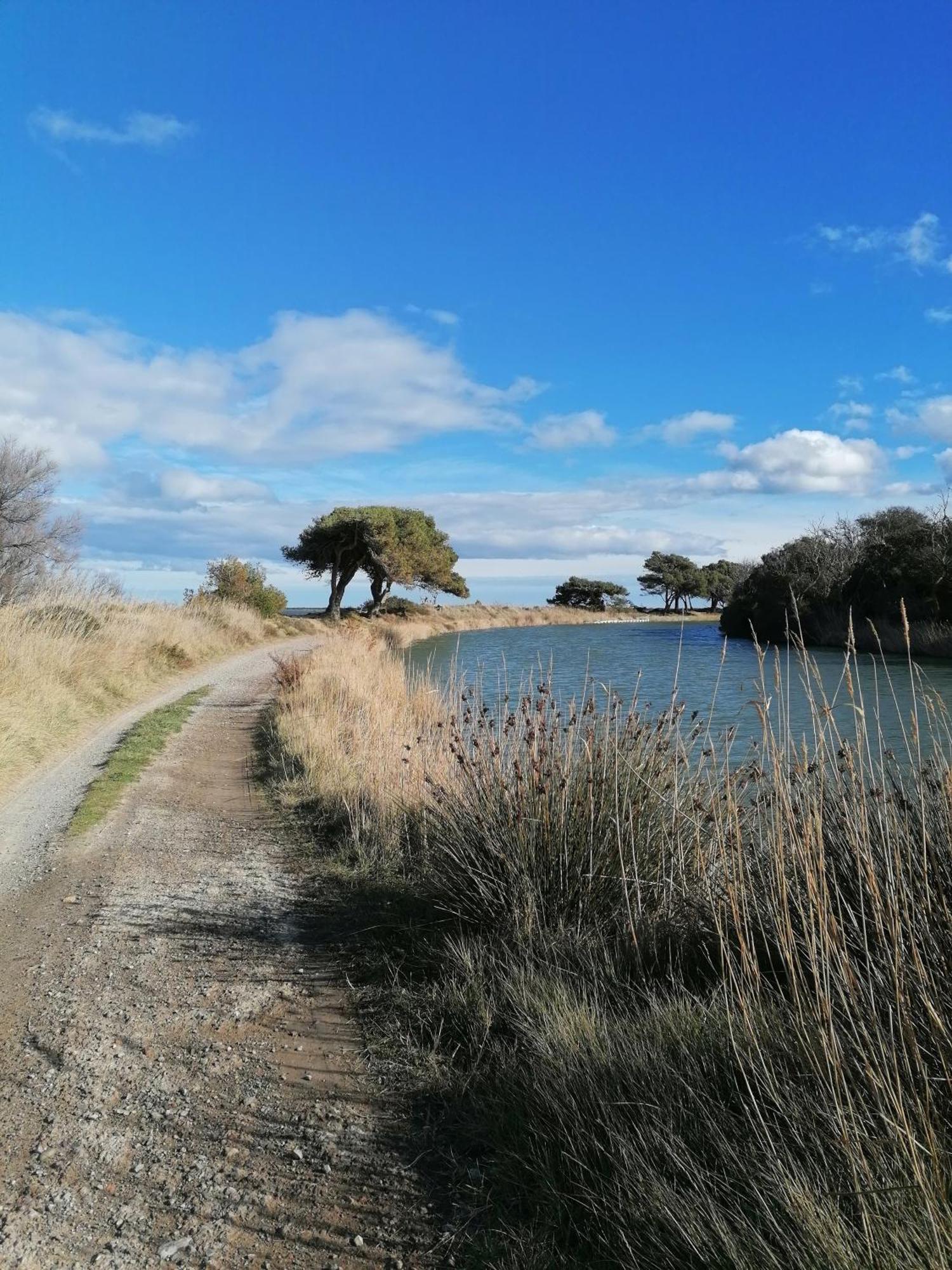 Entre Mer Et Roseaux - Piscine - Proche Centre Et Mer - Petfriendly Port-la-Nouvelle Buitenkant foto